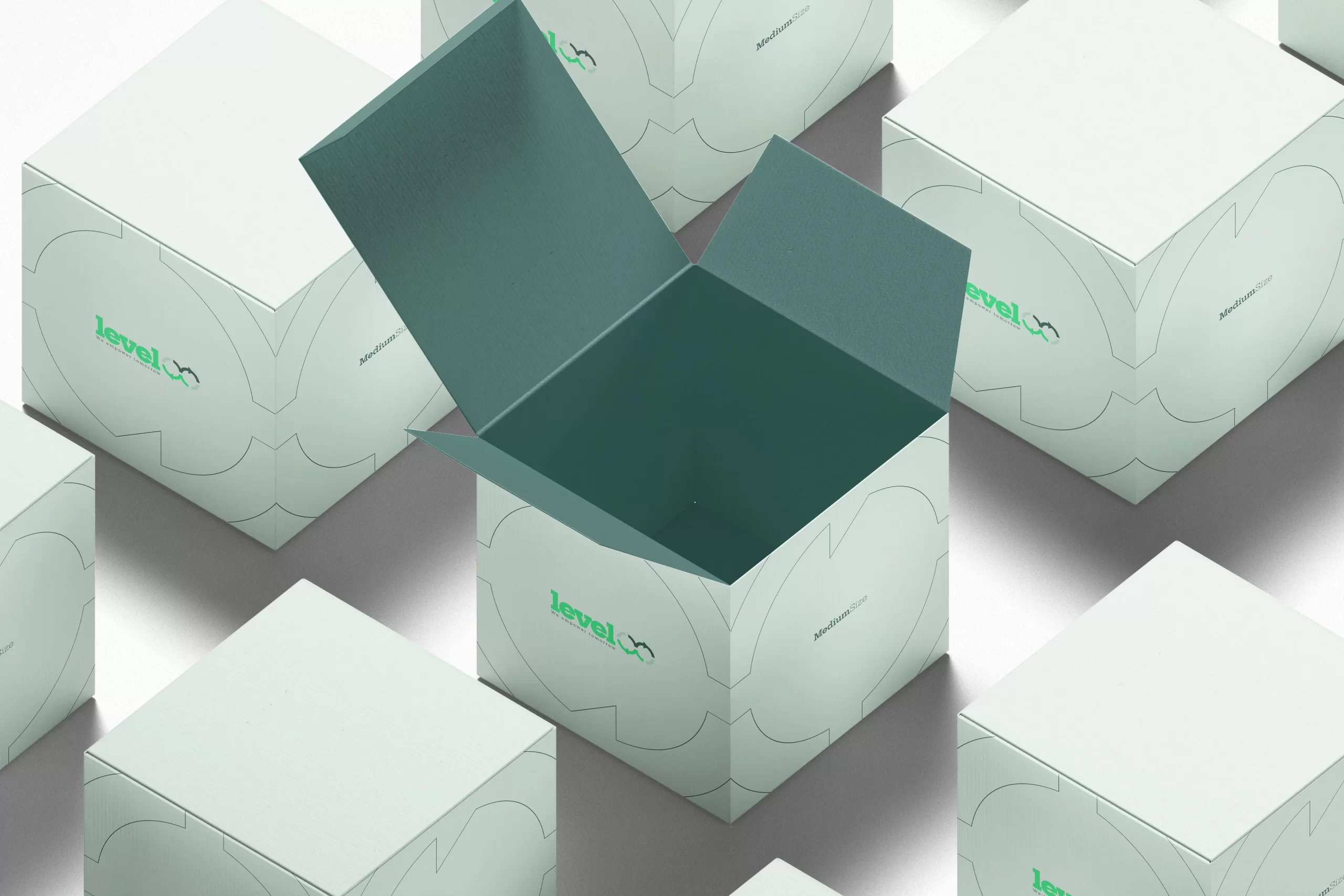 Packaging, box design for level8